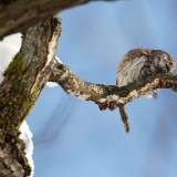 IMG_0707
