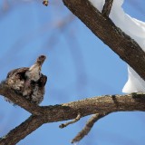 IMG_0772