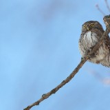 IMG_0861