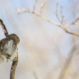 IMG_1113
