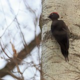 IMG_1665