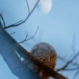 IMG_2407