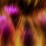 IMG_3194-black