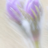 IMG_3265
