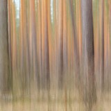 IMG_3473