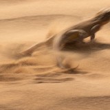 IMG_8685