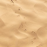 IMG_9954