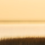 IMG_3521
