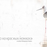 IMG_1106