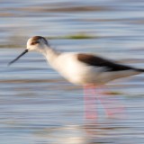 IMG_4649-copy