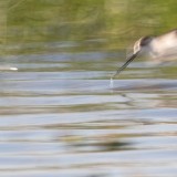 IMG_6179-copy