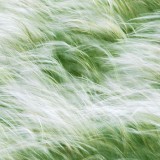 IMG_0544
