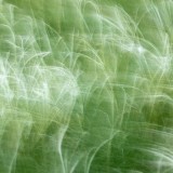 IMG_0668