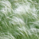IMG_0880