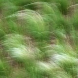IMG_0906