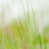 IMG_3397