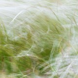 IMG_3569