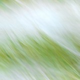 IMG_3650