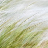 IMG_3760