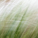 IMG_3942