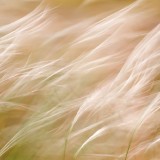 IMG_6575