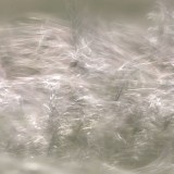 IMG_8347