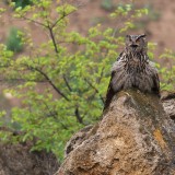 07-IMG_2058
