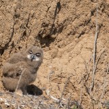 25-IMG_8877