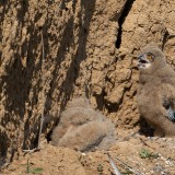 27-IMG_8949-copy