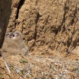 28-IMG_9123