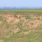 29-IMG_1860
