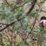 IMG_2813-copy