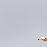 IMG_3092-copy