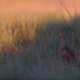 IMG_4870-copy