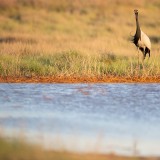 IMG_4912-copy