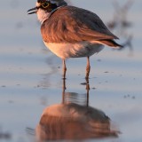 IMG_7742-copy