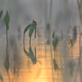 IMG_3174