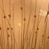 IMG_3344