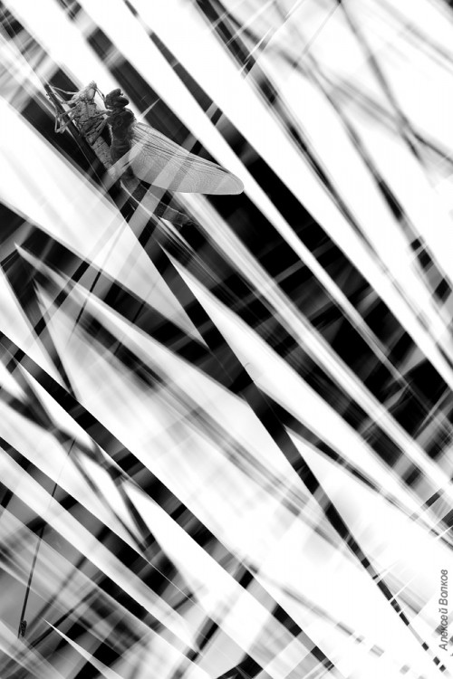 Metad6e664df48760e20.jpg