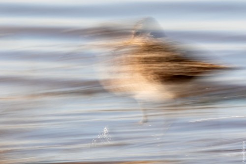 IMG_6119-copy.jpg