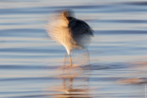 IMG_7095-copy.jpg
