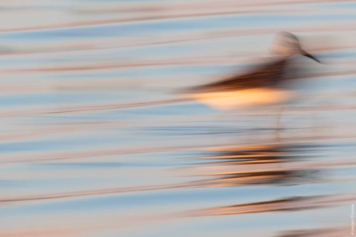 IMG_7563-copy.jpg
