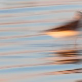 IMG_7563-copy