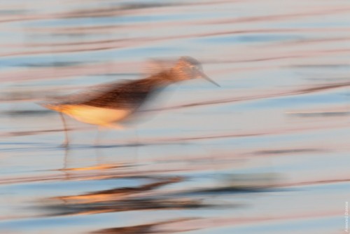 IMG_7566-copy.jpg