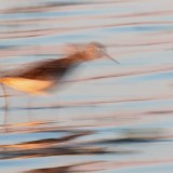 IMG_7566-copy