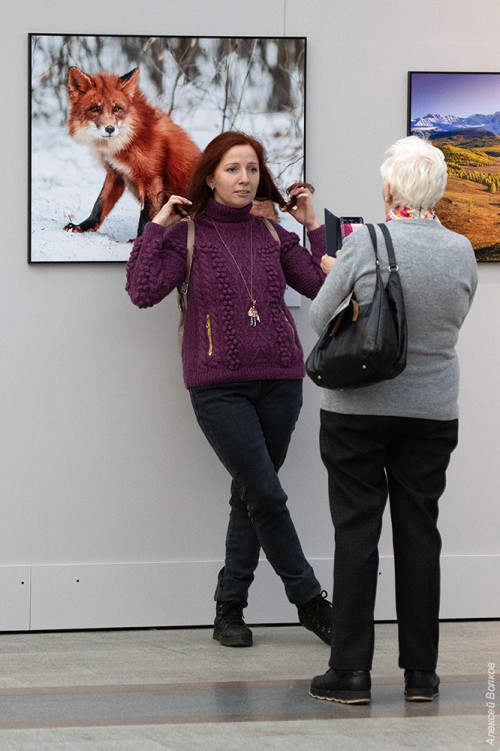 IMG_7924-copy.jpg