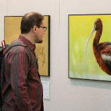 IMG_7952-copy