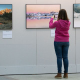 IMG_7958-copy