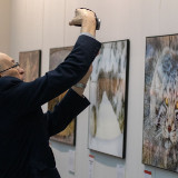 IMG_7995-copy