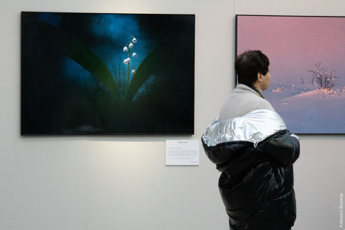 IMG_8049-copy.jpg